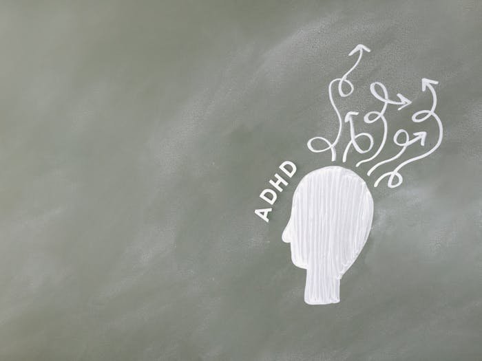 Pexels Photo 8378742